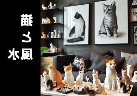 風水 猫
